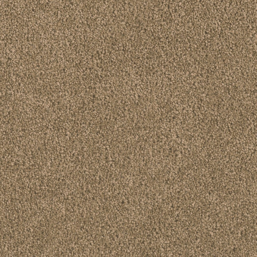 DreamWeaver Carpet
