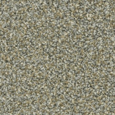 Godfrey Hirst Carpet