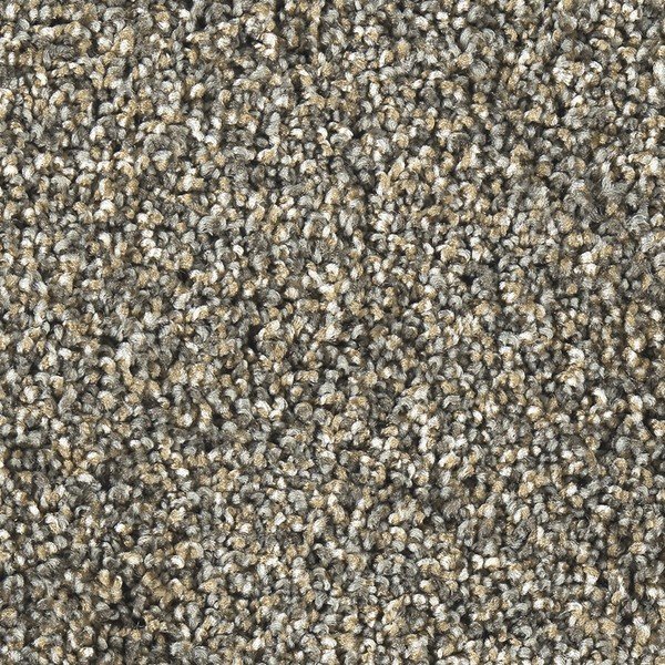 Maequis Industry Carpet
